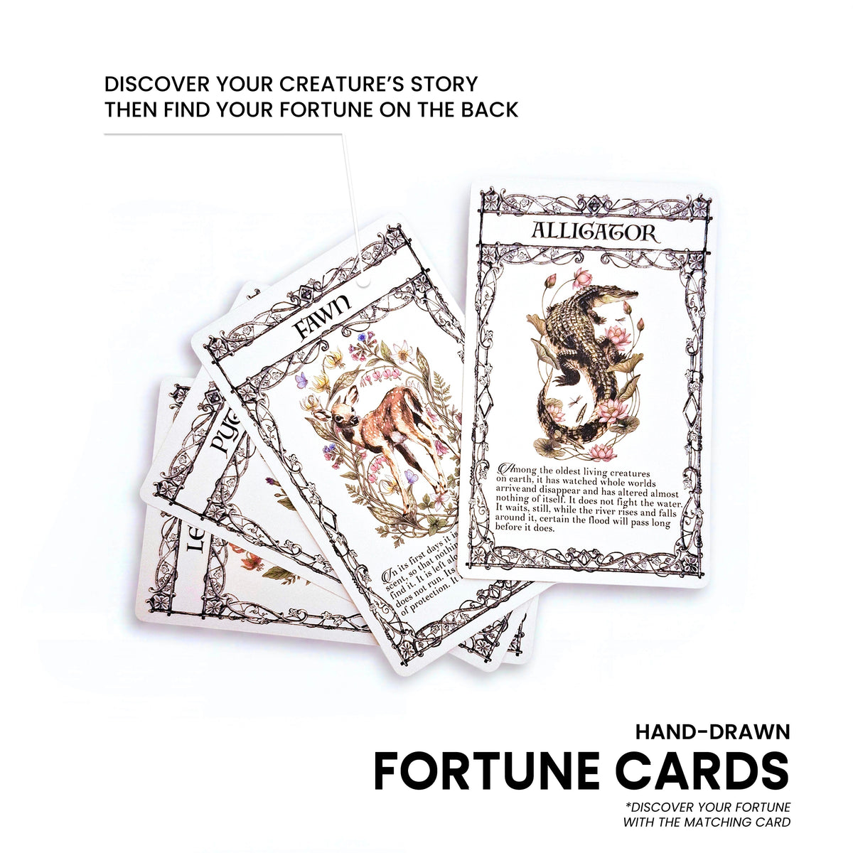 CREATURES OF FORTUNE - MYSTERY BOX